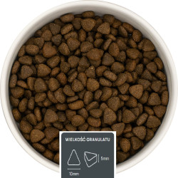 Indyk z wieprzowiną, papają i warzywami – dla seniorów małych ras