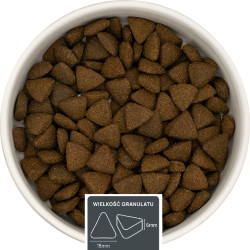 Indyk z wieprzowiną papają i warzywami  –   dla psów dorosłych