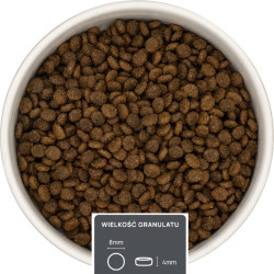 Jagnięcina – dla psów dorosłych małych ras