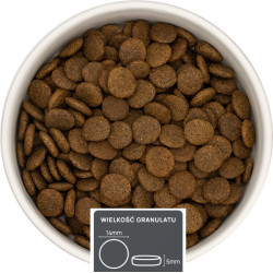 Jeleń z łososiem – dla psów dorosłych