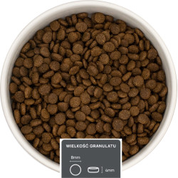 Indyk z kaczką – dla szczeniąt małych małych ras