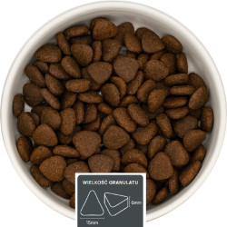 Kaczka z pomarańczą i warzywami  – dla psów dorosłych